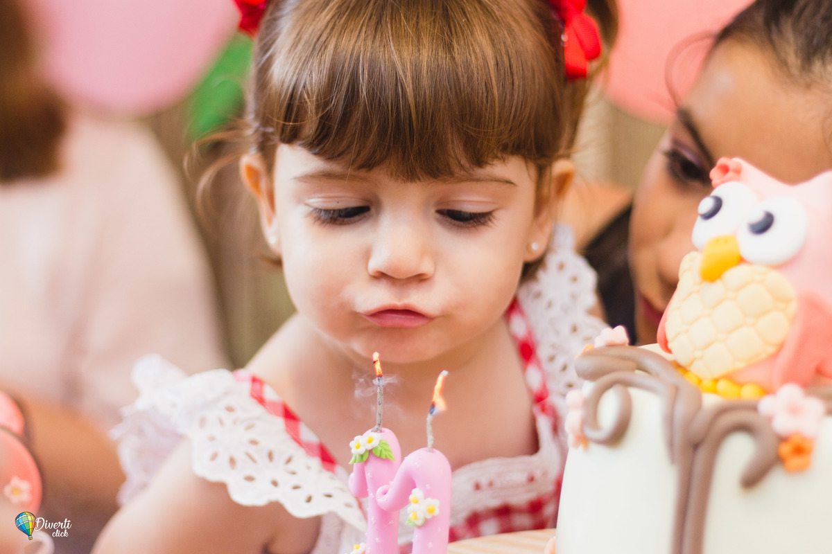 Aniversário Infantil - Mogi das Cruzes - Criança - Brincadeiras - La na casa da dona joaninha