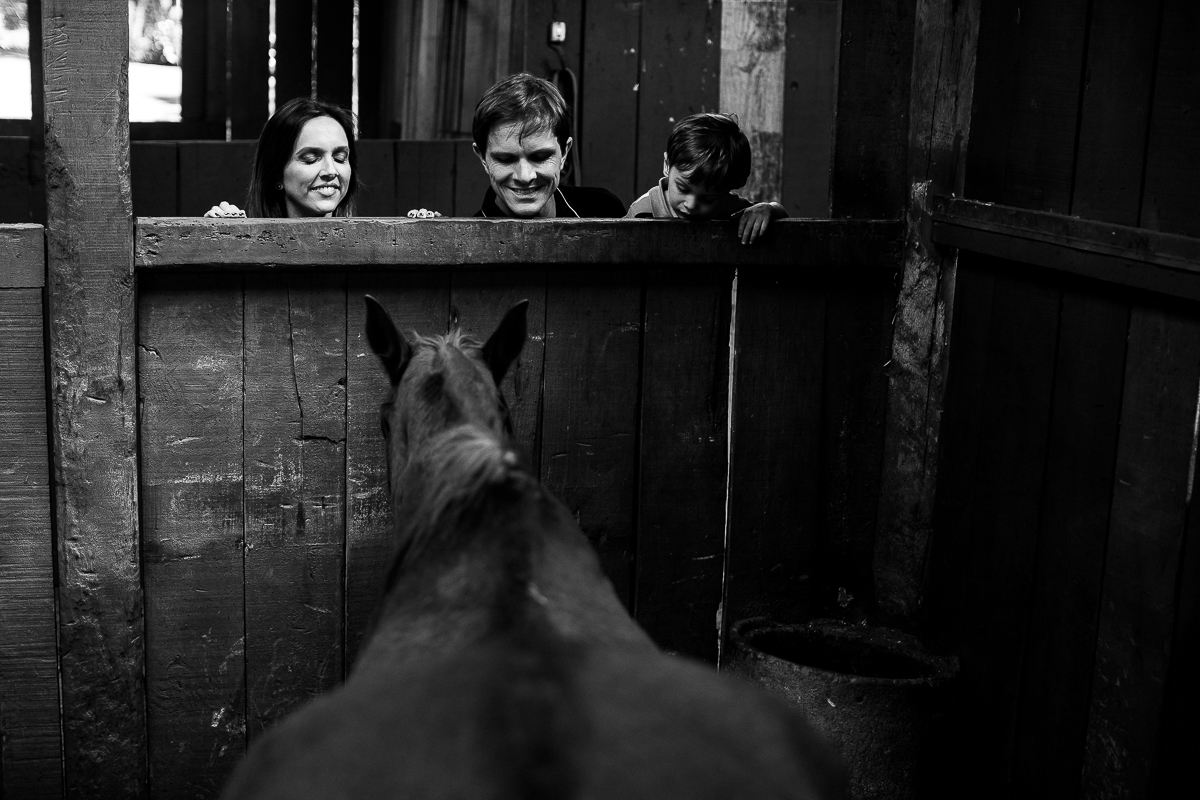 Gustavo Sousa fotografia em ensaio família e gestante na fazenda e haras perto de Curitiba. Na baia do cavalo no haras