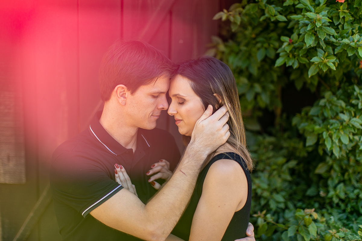 Gustavo Sousa fotografia em ensaio família e gestante na fazenda e haras perto de Curitiba. Gestante e família brincando com cachorros 