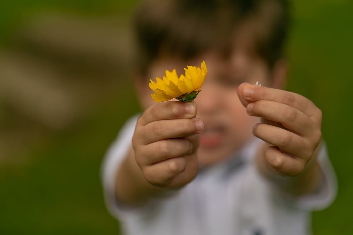 gustavo sousa fotografa na chácara Mangala em Curitiba. Fotos espontâneas. Ensaio gestante e família.  Filho mostra flor