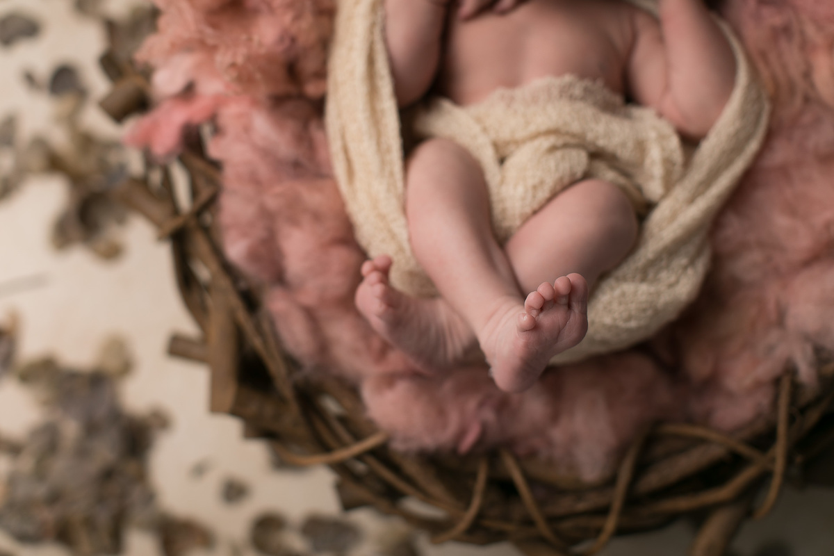 gustavo sousa fotografia ensaio e book newborn em Maringá.