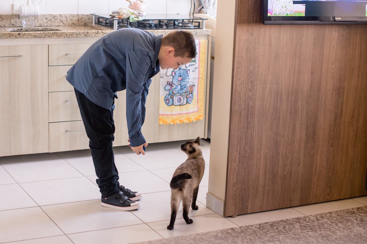 Ensaio de família em casa - brincando com o gato