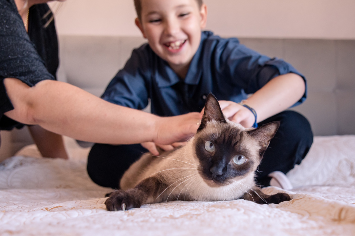 Ensaio de família em casa - gatinho na cama
