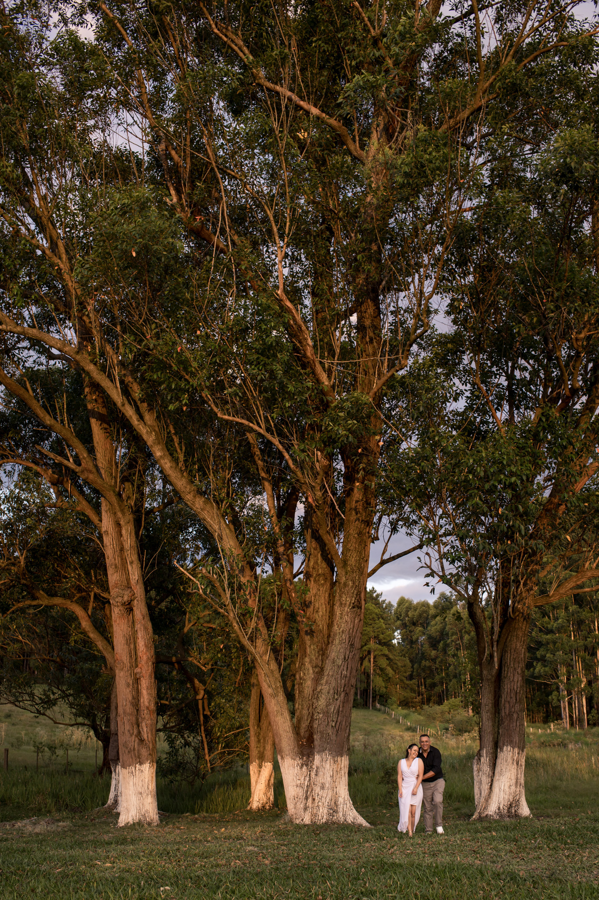 ensaio externo de casal na chácara, com grandes árvores