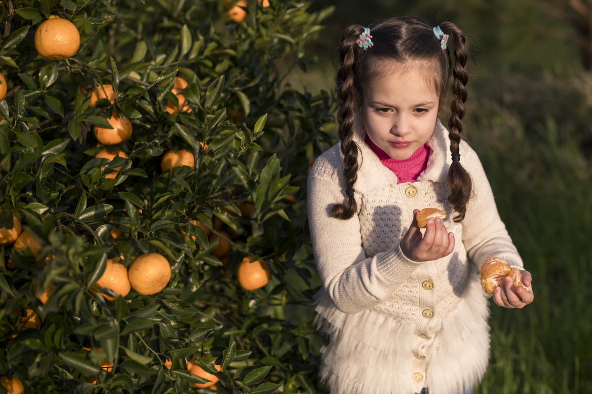 Ensaio externo de família, criança comendo bergamota