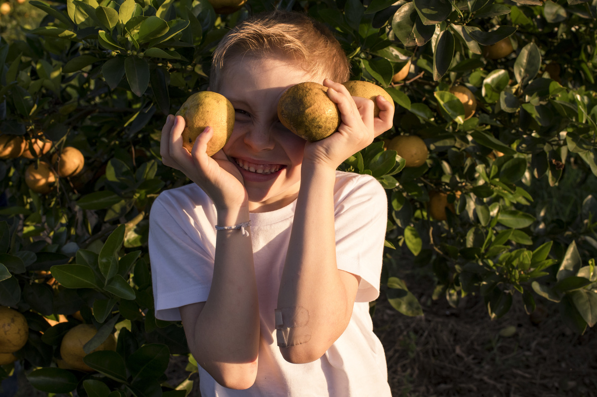 Ensaio externo de família na plantação de bergamotas
