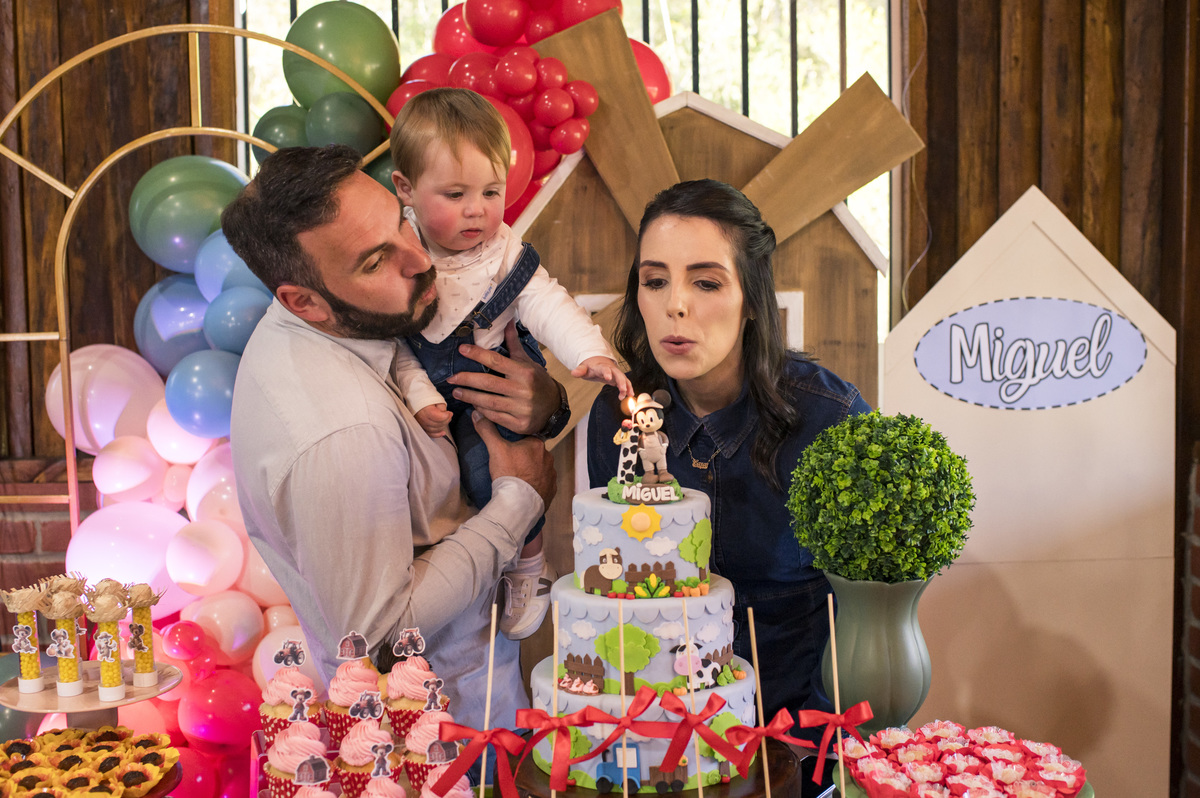 festa de aniversário infantil, decoração fazendinha, hora de assoprar a velinha - simtri - triunfo rs