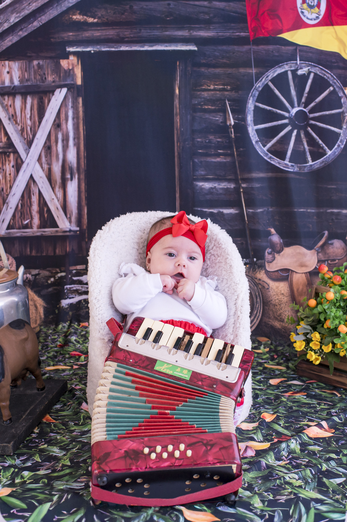 Acompanhamento Mensal - Estúdio fotográfico Claudia - Luísa 2 meses