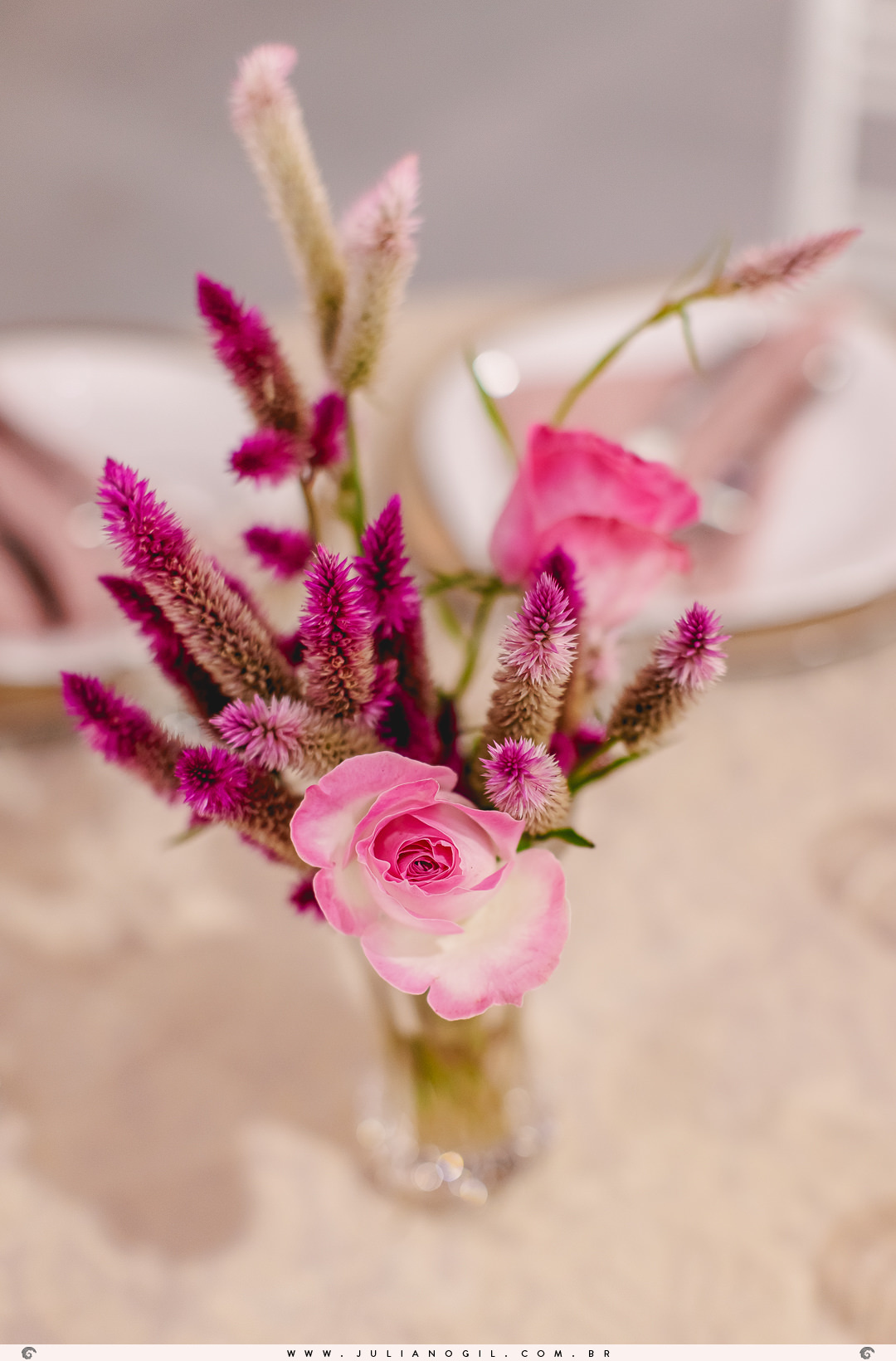 15 anos aniversário Laura Bertuol debutante cristão comunidade alcance família irmã irmãos pais avós fotografia fotógrafo Juliano Gil irati paraná ponta grossa curitiba recanto do lago decoração eduardo krezanoski vestido priscila susko homenagem espelho