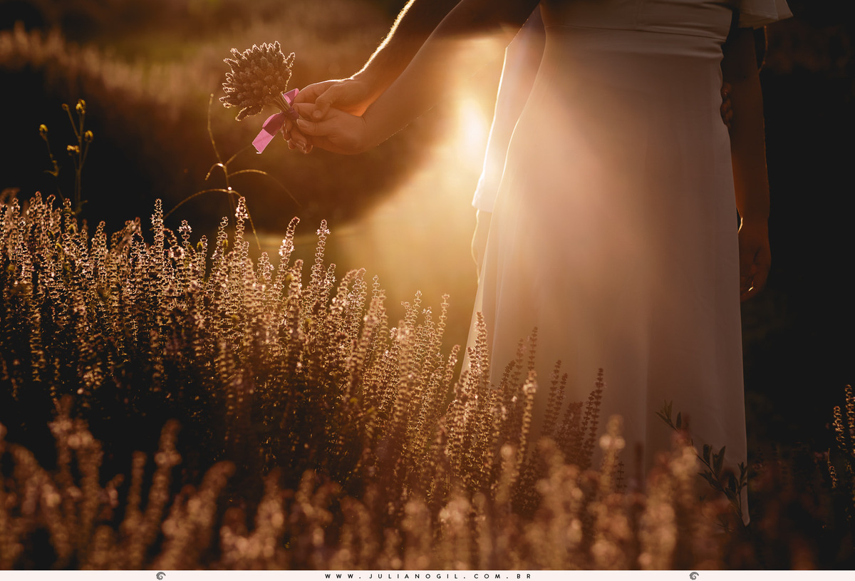 casal caminhando no pôr do sol na foto aparece apenas a mãos deles sobre a plantação de manjericão