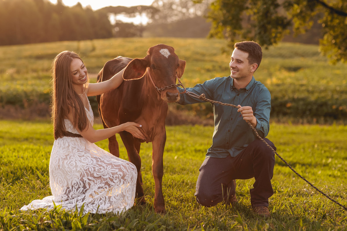 casal abaixados na altura do bezerro acariciando o animal