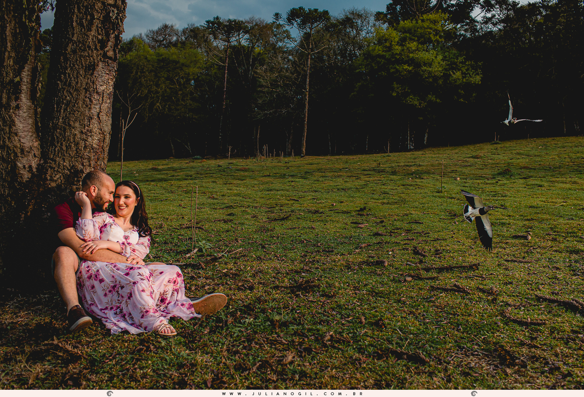 Ensaio Pré Casamento Irati, Colônia de Gonçalves Junior. Fotógrafo Juliano Gil. Ataque de quero-quero (Vanellus chilensis)