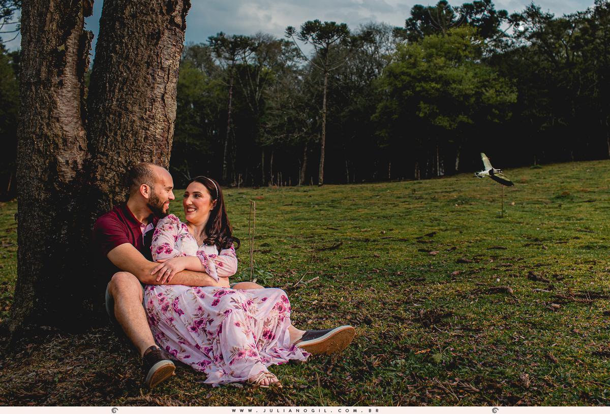 Ensaio Pré Casamento Irati, Colônia de Gonçalves Junior. Fotógrafo Juliano Gil. Ataque de quero-quero (Vanellus chilensis)