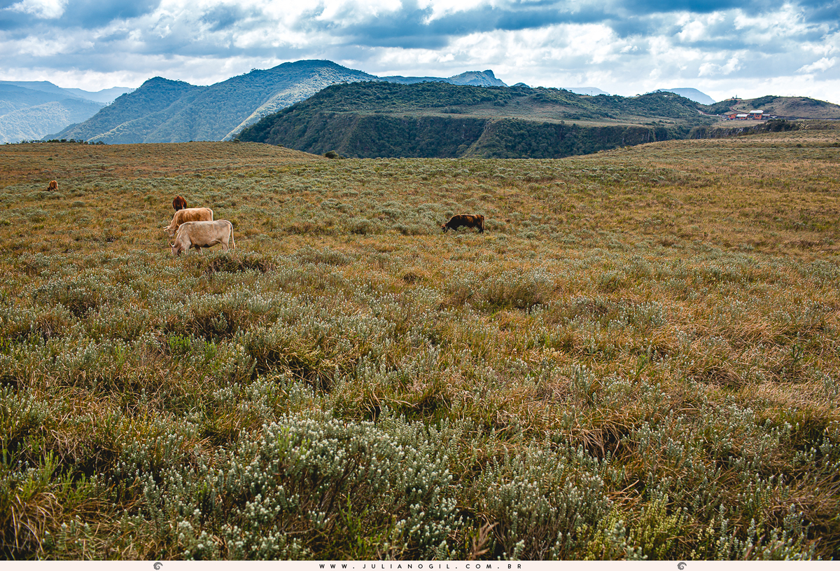 Pré Casamento Fernanda Maciel Cezar e Renê Siman em Serra Catarinense Urubici Praia do Rosa Serra do Rio do Rastro Serra do Corvo Branco Fotógrafo Juliano Gil