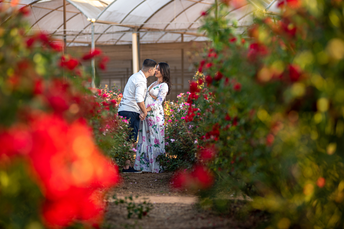 Caminhando entre as Flores