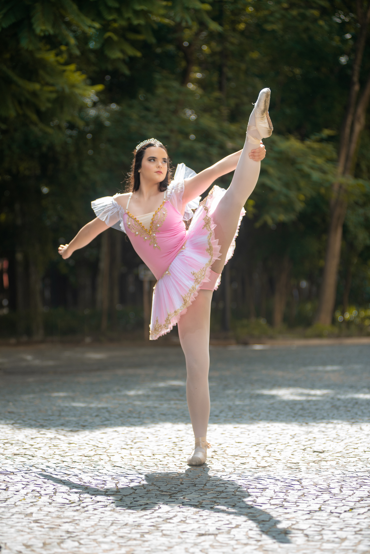 A suavidade de uma pirueta contrasta com a imponência do Museu do Ipiranga. Uma obra de arte em forma de foto!