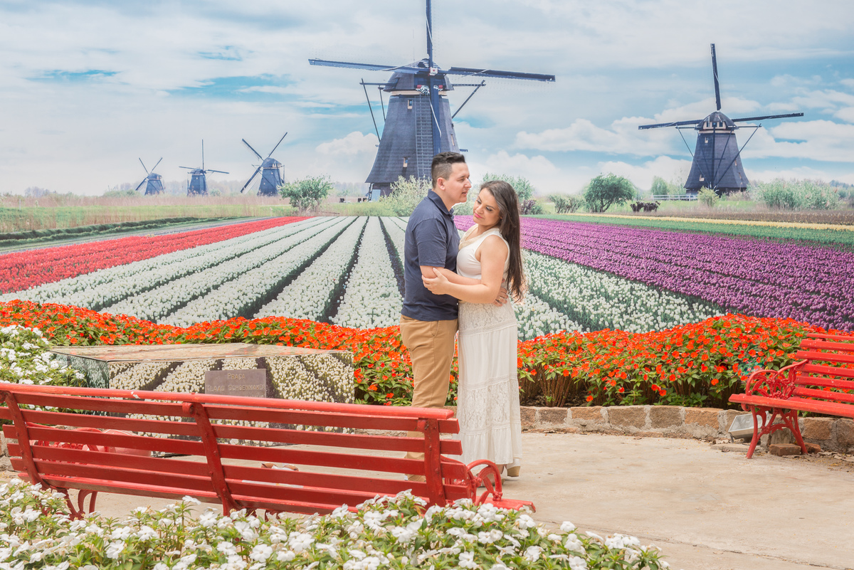 Fotografia pre wedding no moinho de vento em Holambra em São Paulo