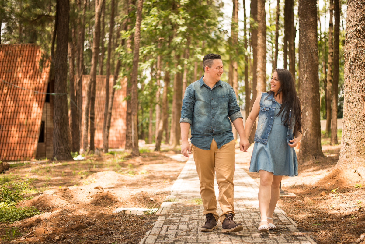 Campos de flores em Holambra SP, fotografia de casamento, fotógrafo Alberto Martinez