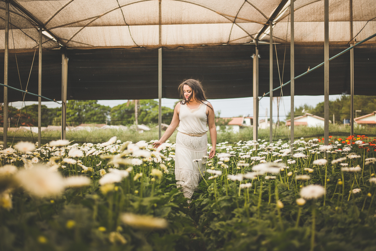 Campos de flores em Holambra SP, fotografia de casamento, fotógrafo Alberto Martinez