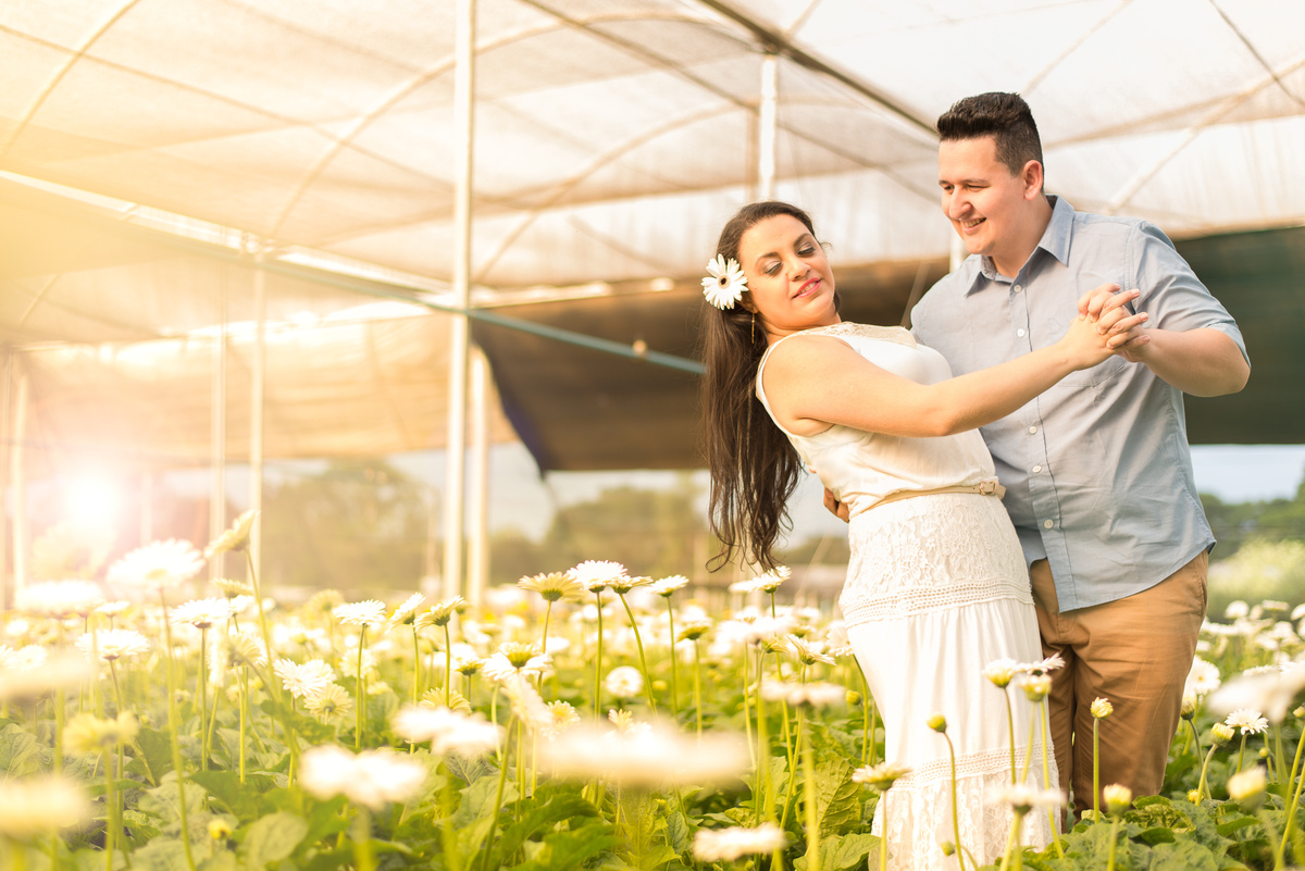 Campos de flores em Holambra SP, fotografia de casamento, fotógrafo Alberto Martinez