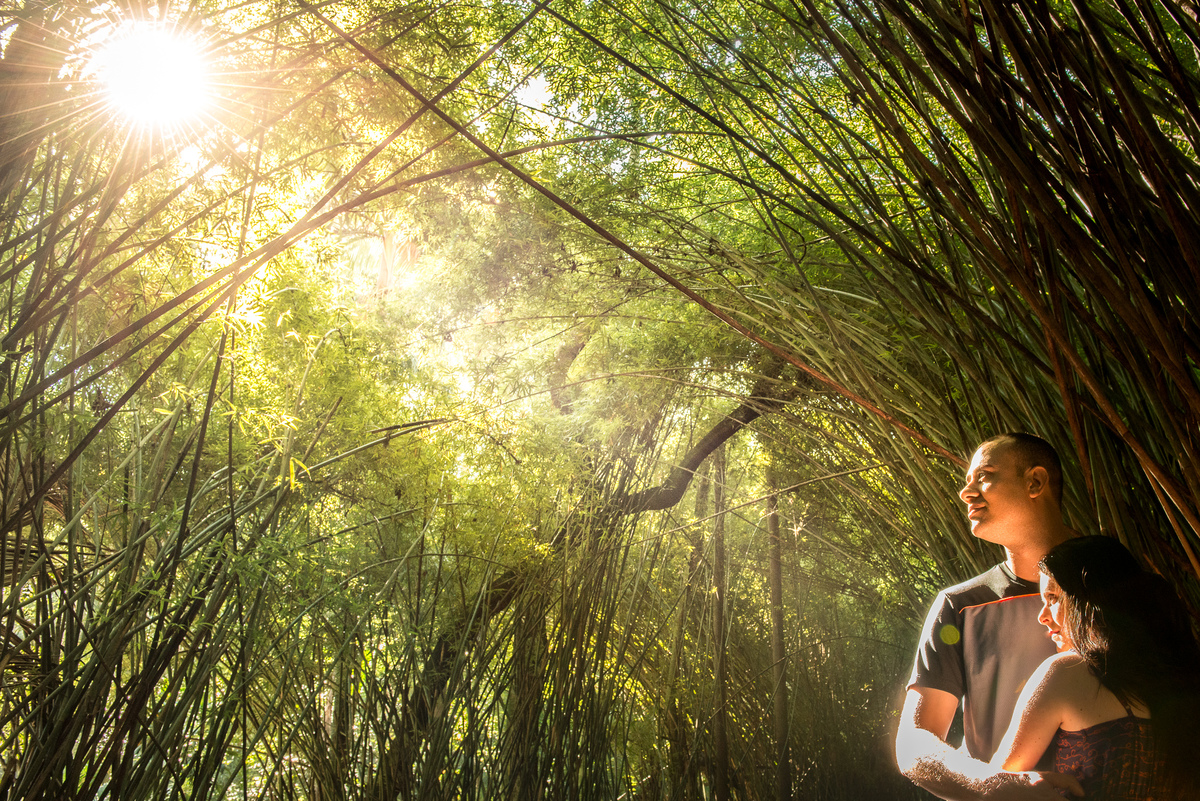 Fotografia de casal no parque jardim botânico em São Paulo, fotografo de casamentos Alberto Martinez