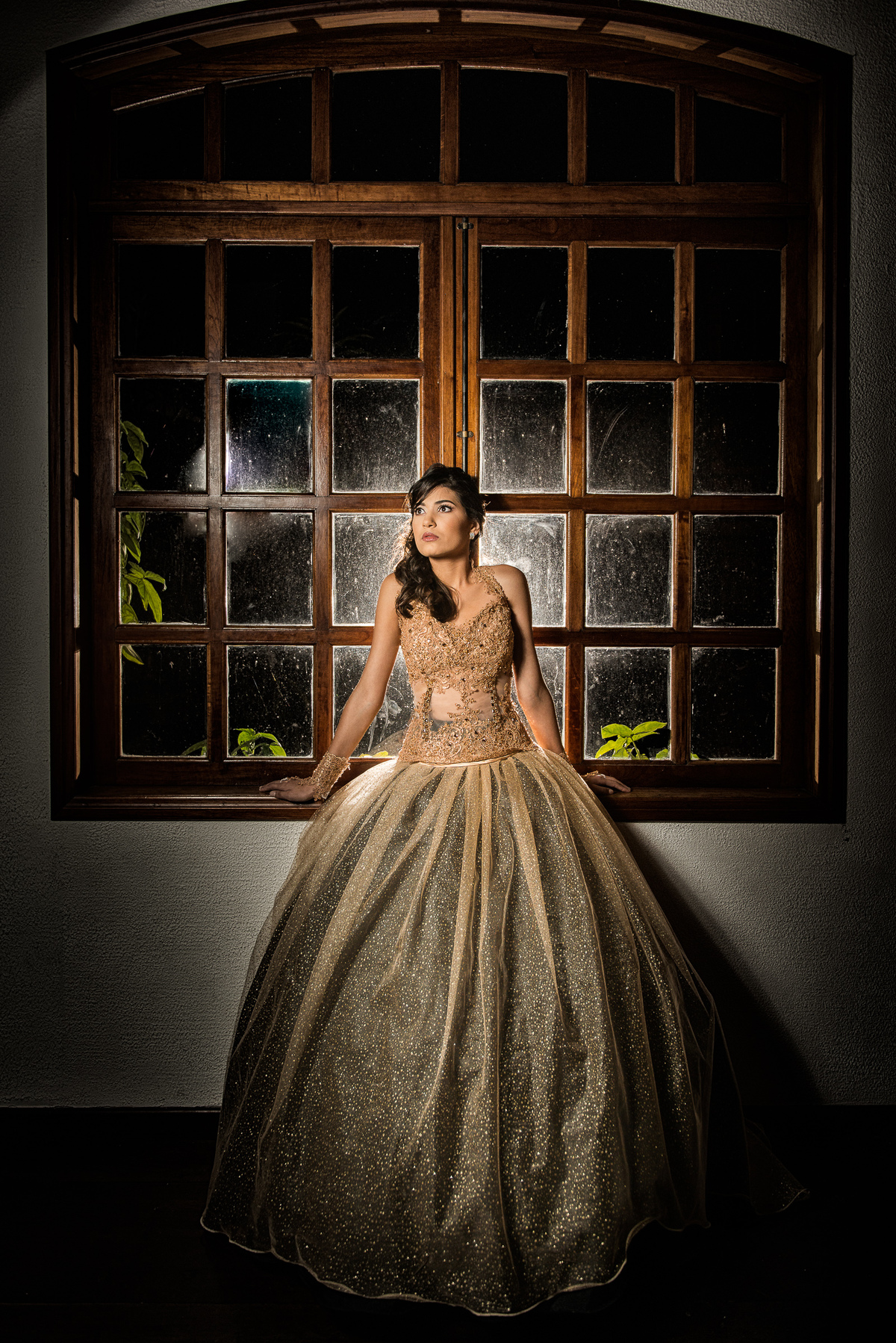 debutante pousando na janela com luz de flash