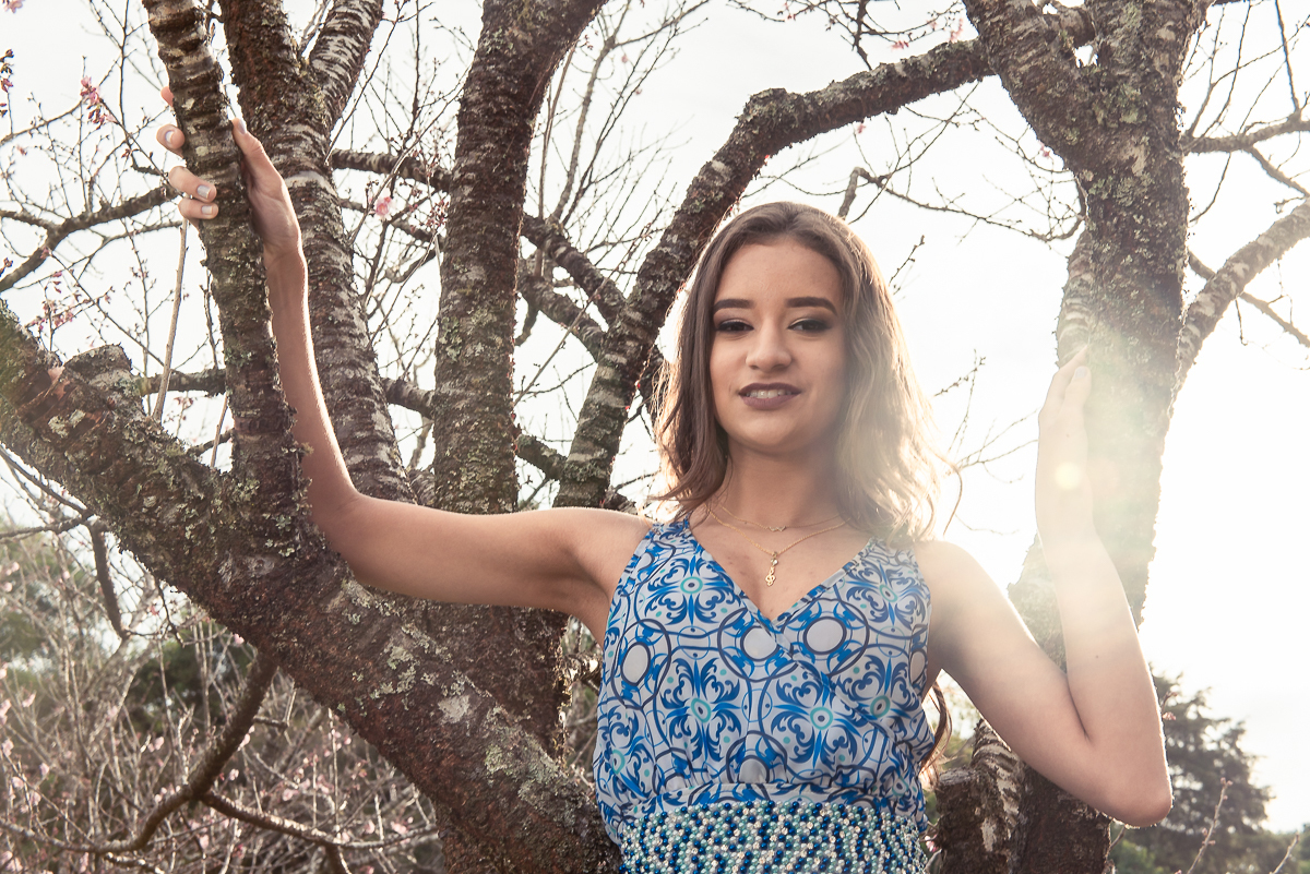 debutante na árvore com reflexo do sol, ensaio fotográfico