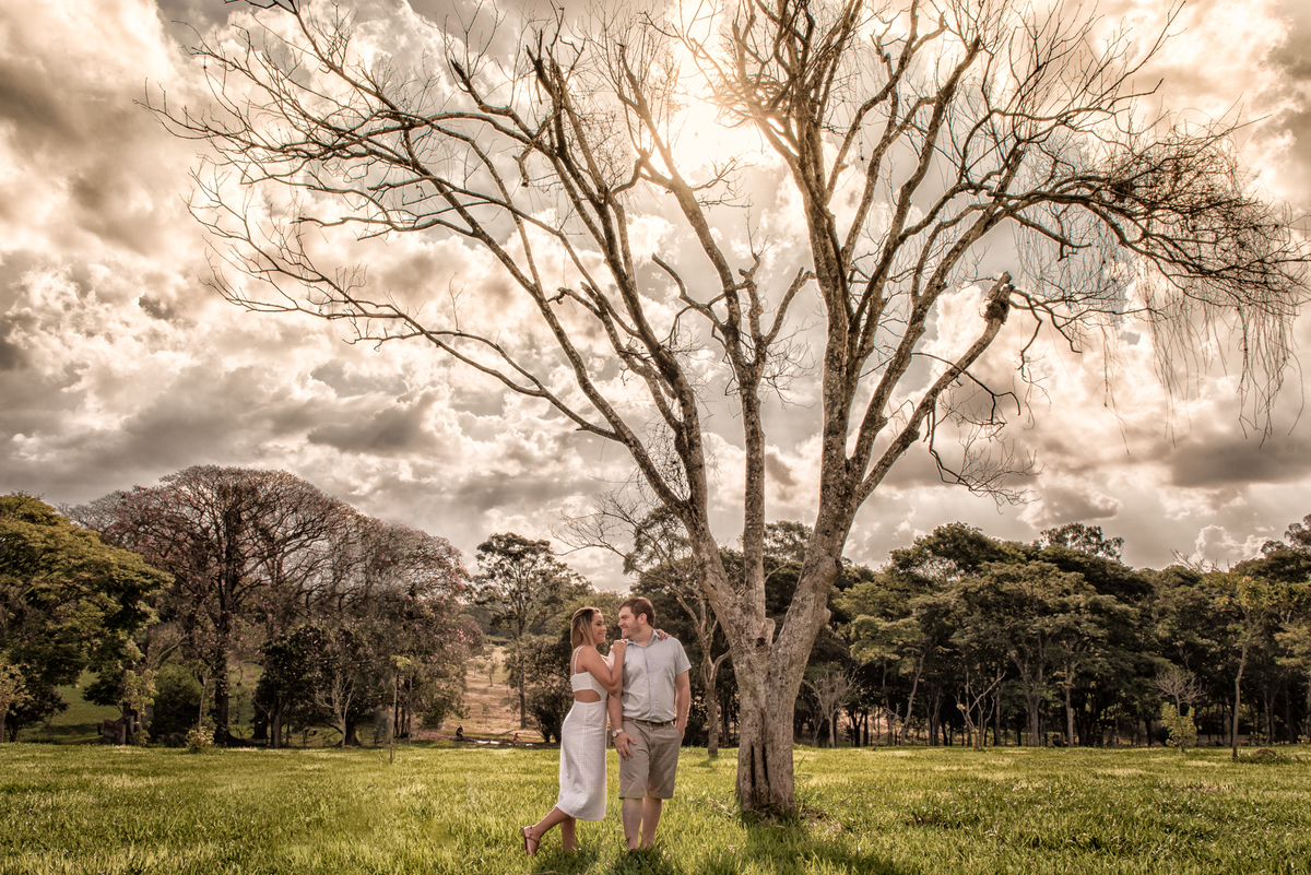 Casal em fotografia de pré wedding feito em local com uma árvore e um céu meio nublado que deixa a foto linda em ensaio feito pelo fotógrafo Alberto Martinez.