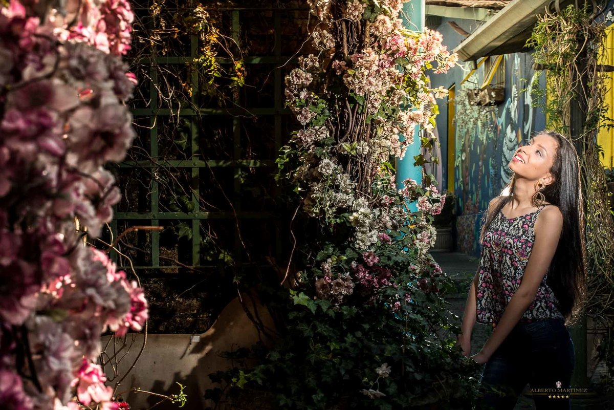 fotografia de debutante
Ensaio de 15 anos no centro de Embu das Artes
Fotógrafo Profissional
Alberto Martinez