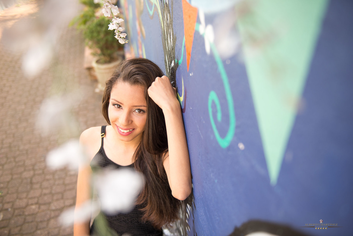 fotografia de debutante
Ensaio de 15 anos no centro de Embu das Artes
Fotógrafo Profissional
Alberto Martinez