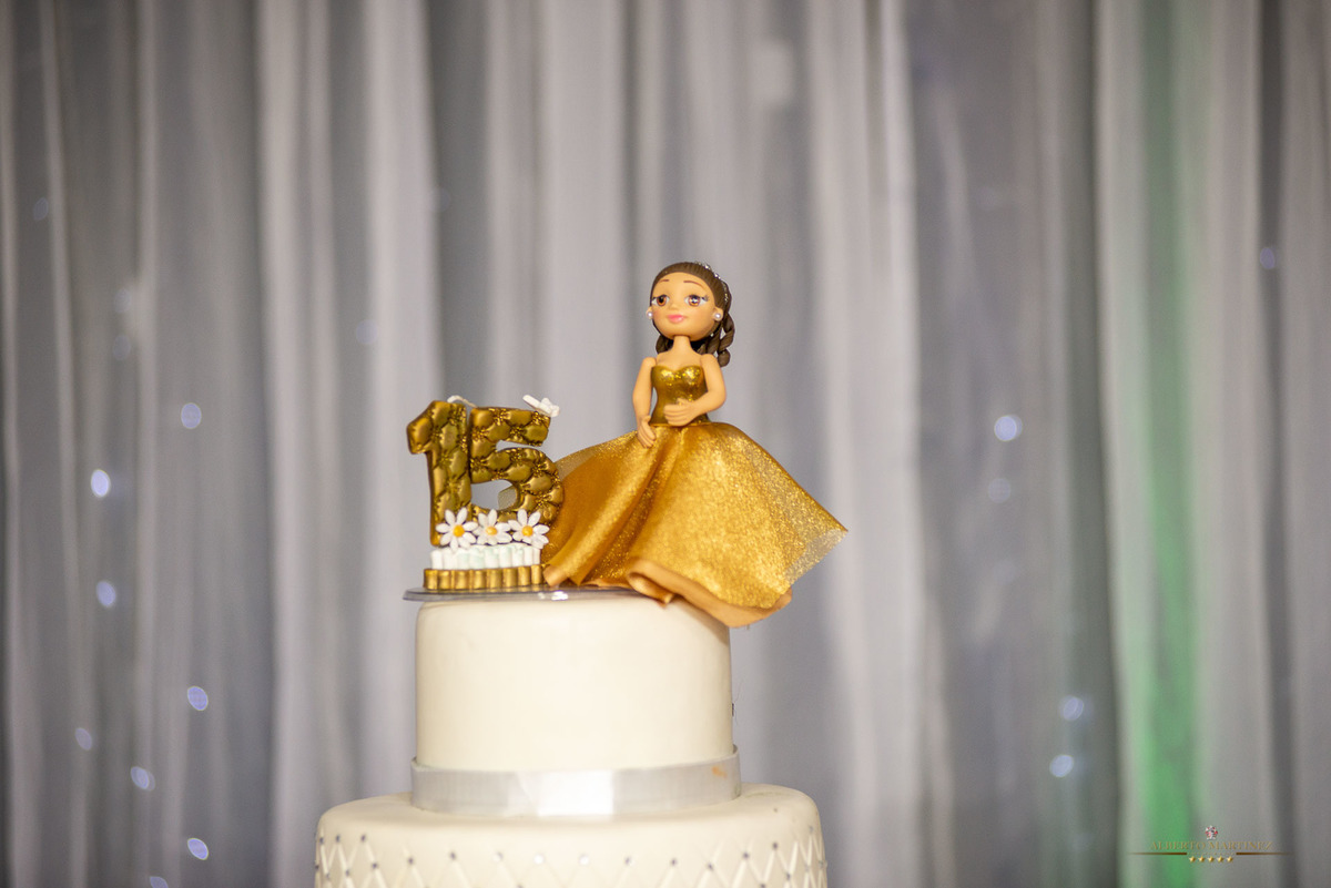 Fotógrafo de debutante em embu das artes no buffet chácara alpes, festa de 15 anos animada com o fotógrafo de debutantes Alberto Martinez