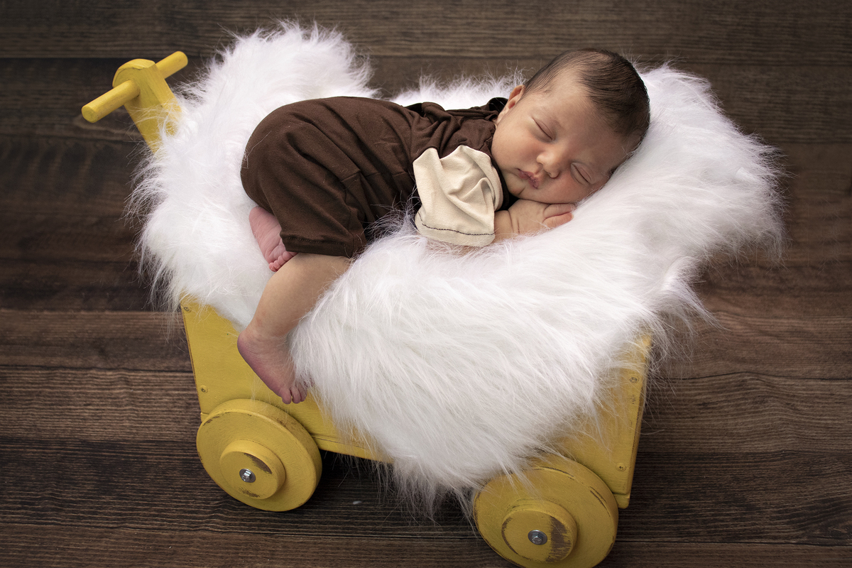 Tamires Rosa, São José do Rio Preto, Sessão Newborn