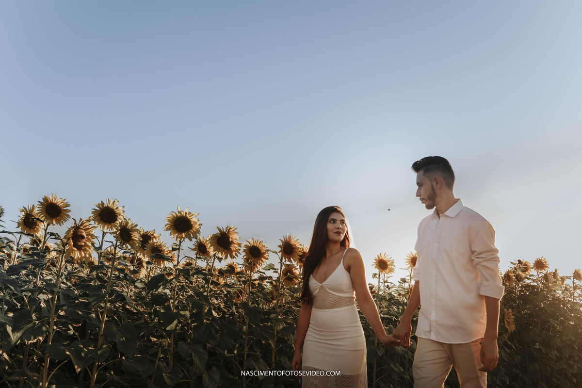 pré wedding girassois holambra