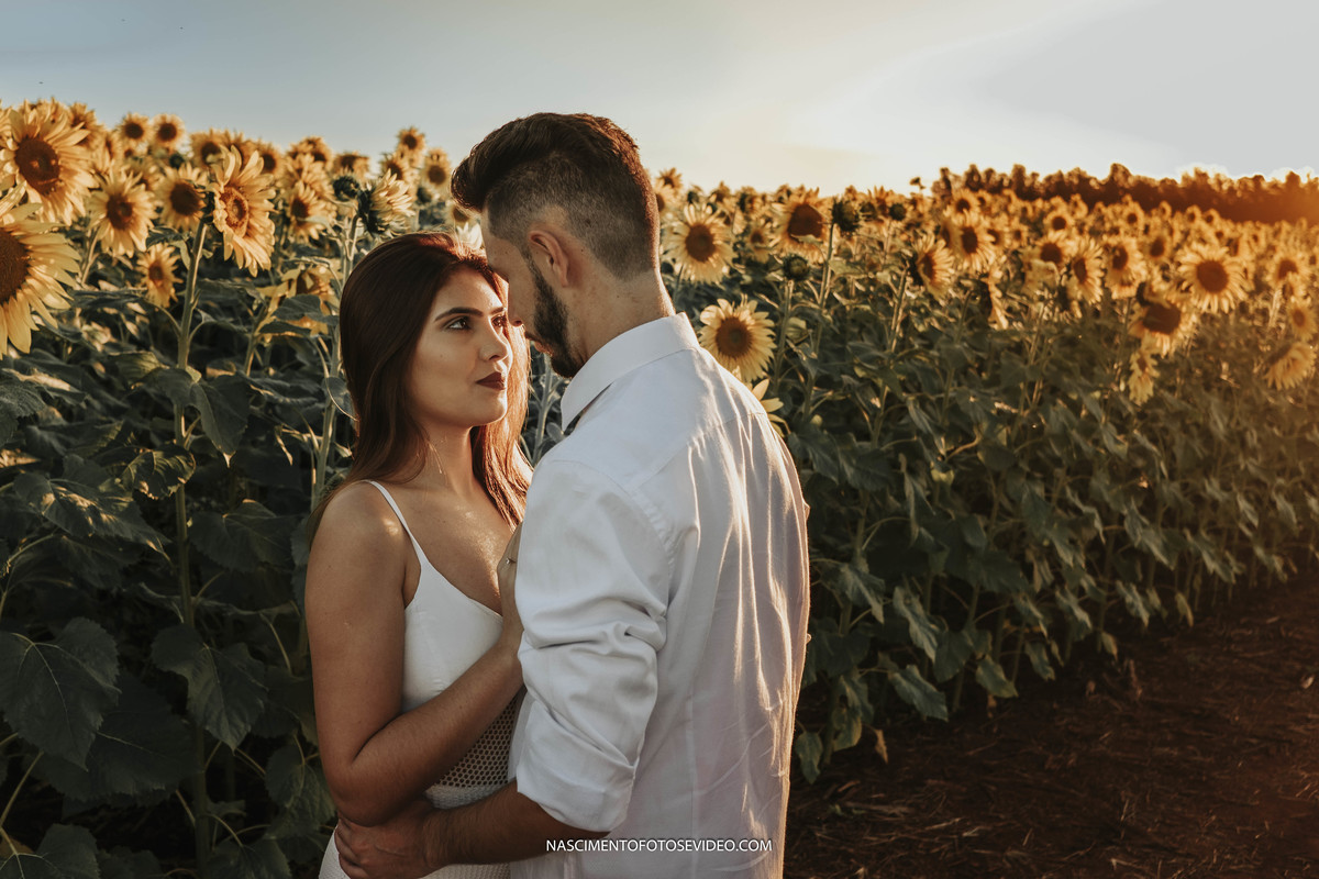 pré wedding girassois