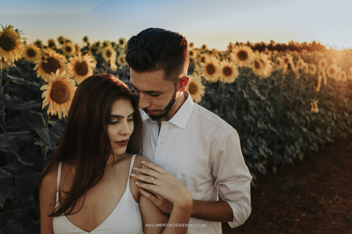 pré wedding holambra girassois