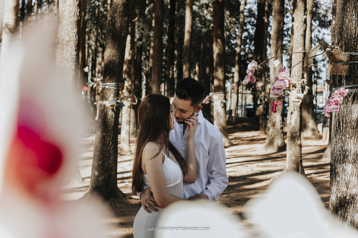 pré casamento holambra