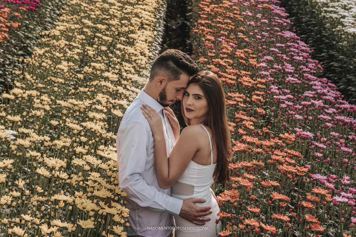 pré wedding holambra