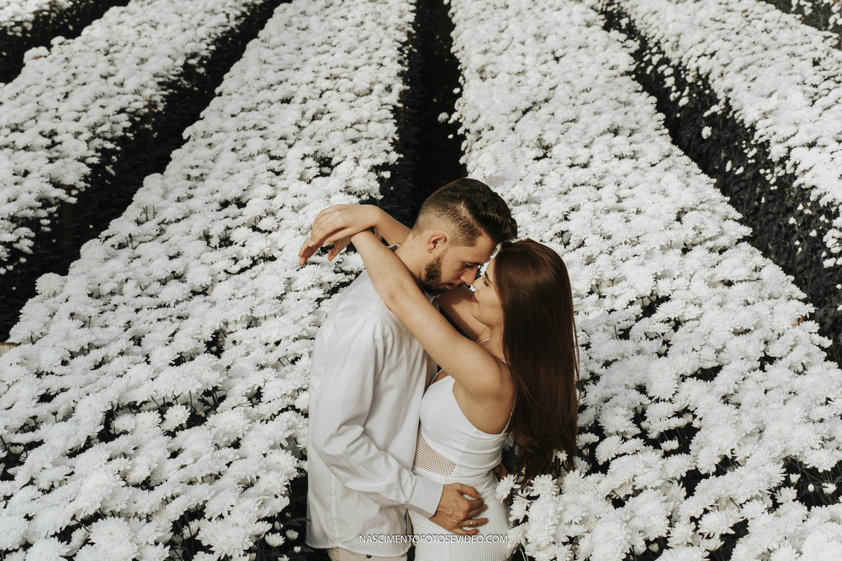 pré casamento holambra