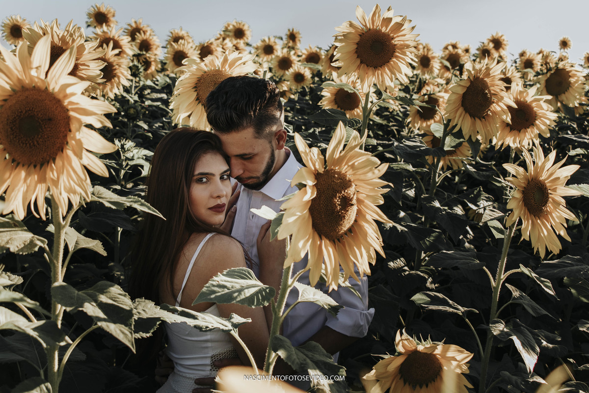 pré wedding holambra