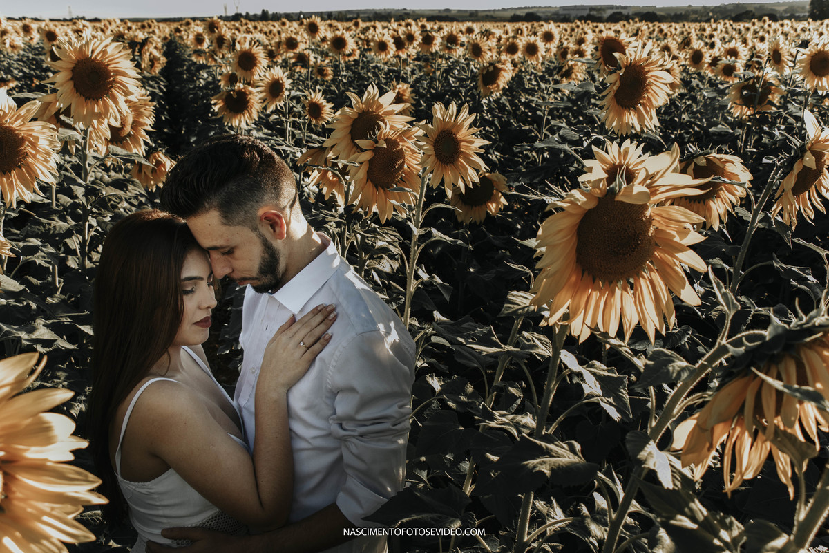 ensaio casal girassois