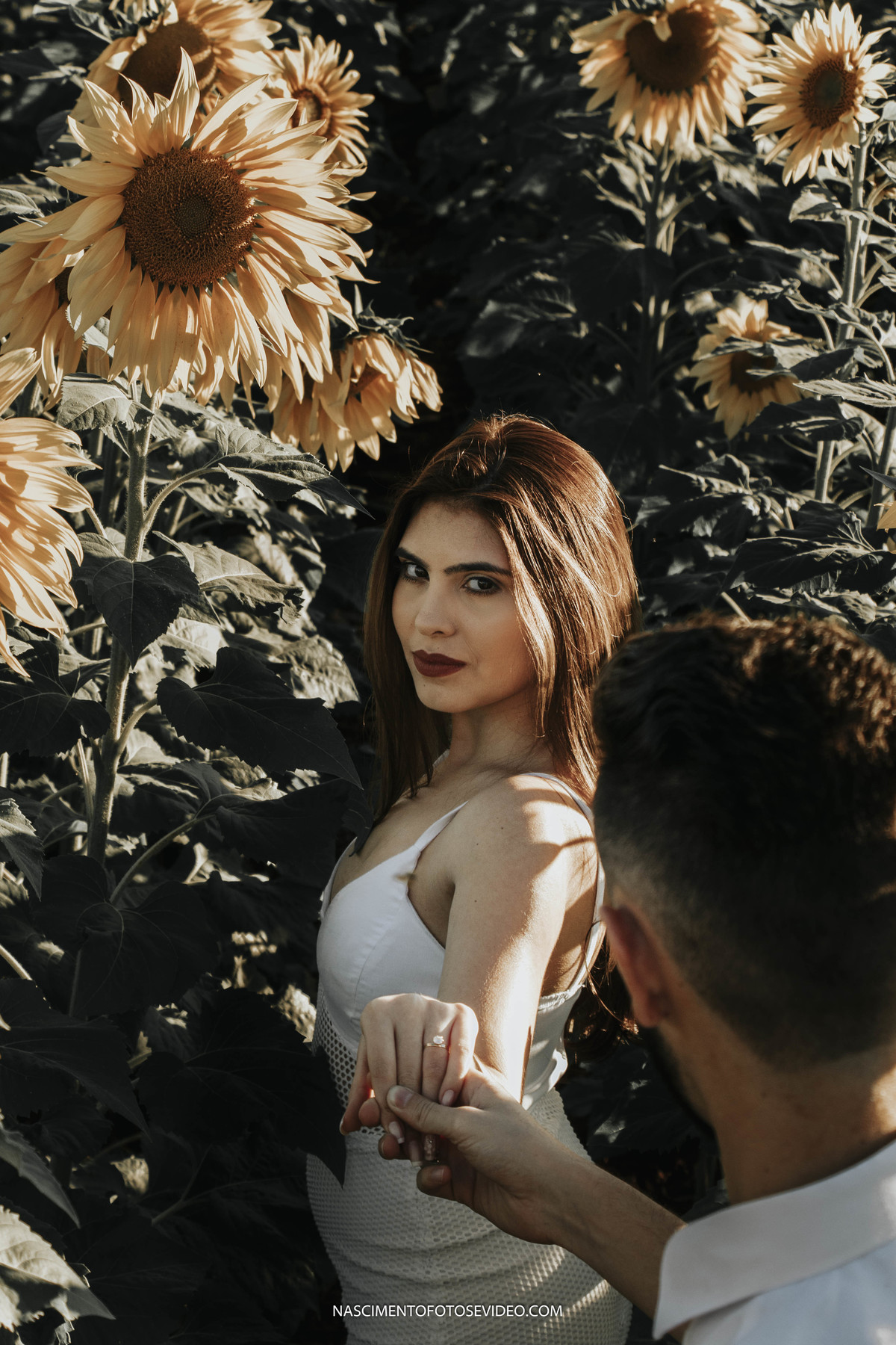 ensaio pré casamento holambra são paulo