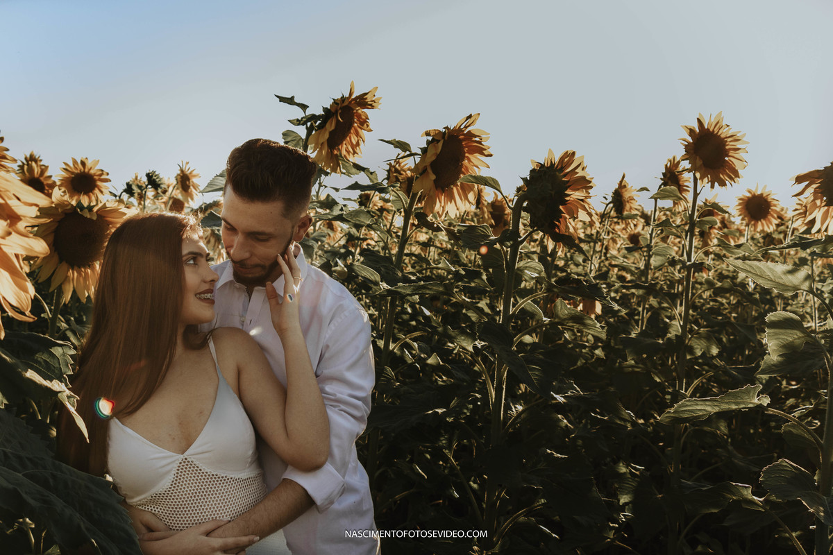 ensaio pré wedding holambra são paulo