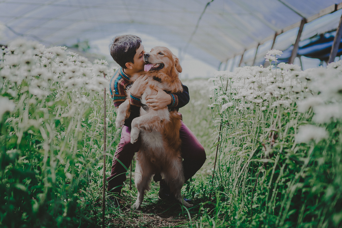 LUGAR LINDO PARA PRÉ-WEDDING 