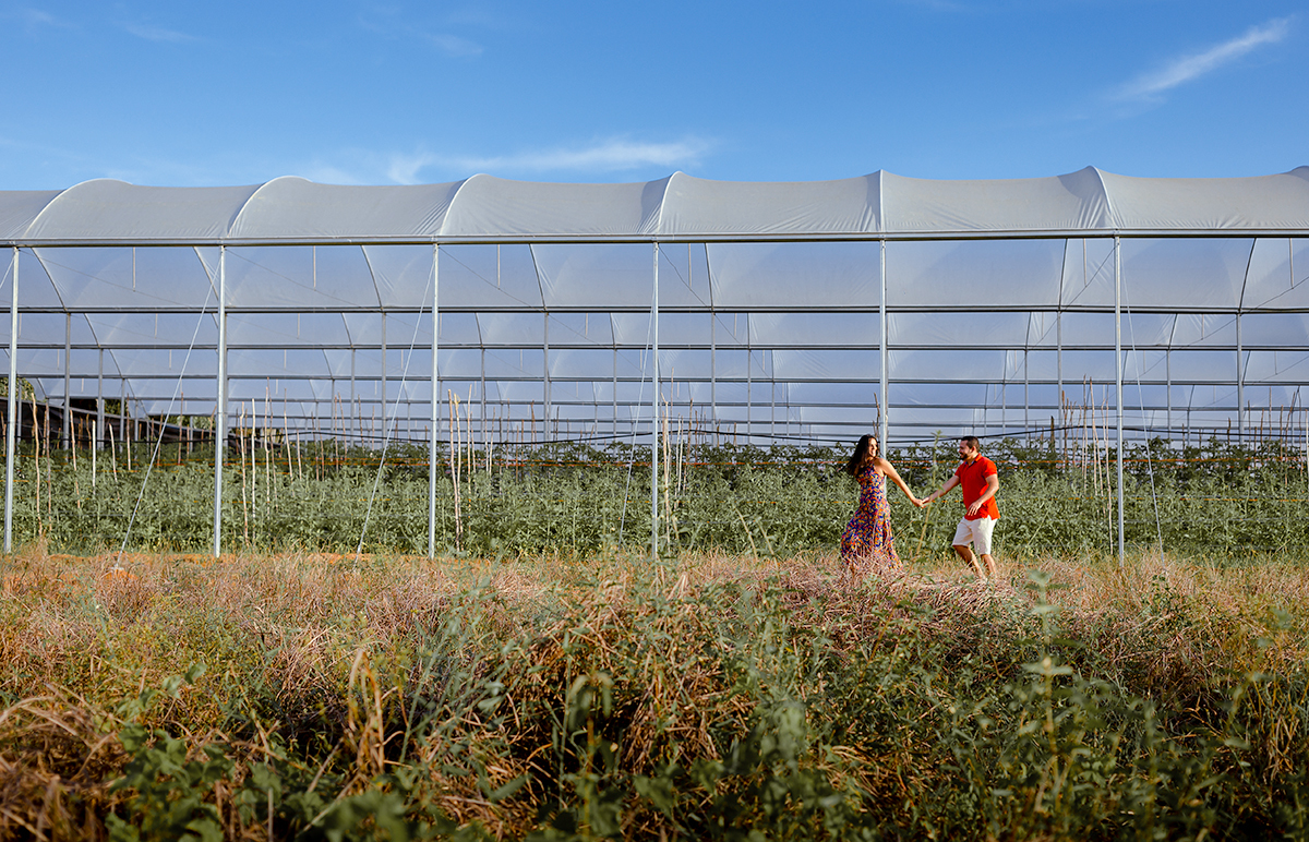 ENSAIO NA FLORICULTURA NO IRANDUBA 