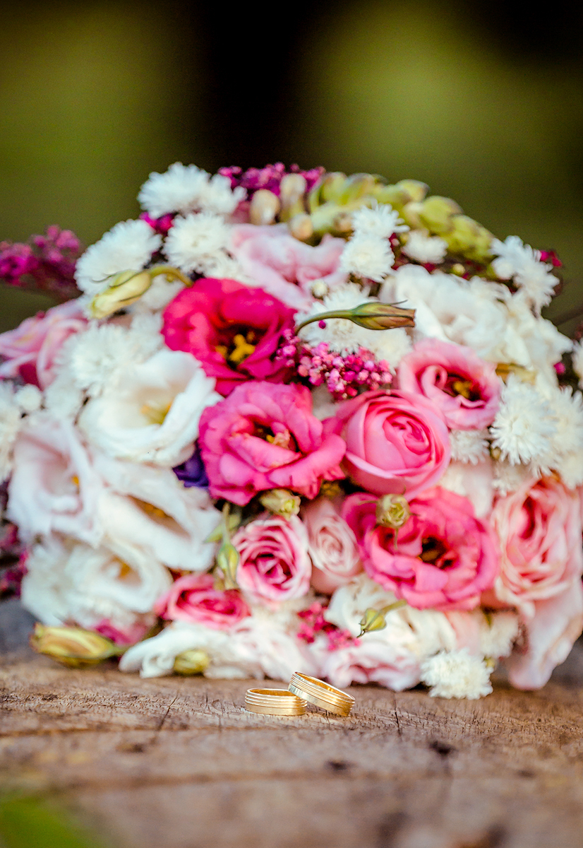 ENSAIO NA FLORICULTURA NO IRANDUBA 