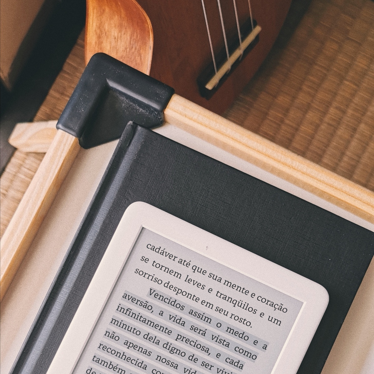 Imagem capa - Livros e hábitos por Vivian Miyuki Kanashiro