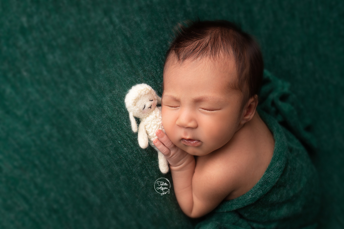 ensaio newborn talitaqueu guaruja litoralsp baixadasantista recem nascido bebê newborn booknewborn  enroladinhanowrap ensaiofotografico recemnascido primeirosdias bebê familia