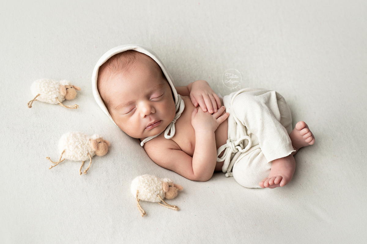 ensaio newborn talitaqueu guaruja litoralsp baixadasantista recem nascido bebê newborn booknewborn  enroladinhanowrap ensaiofotografico recemnascido primeirosdias bebê familia