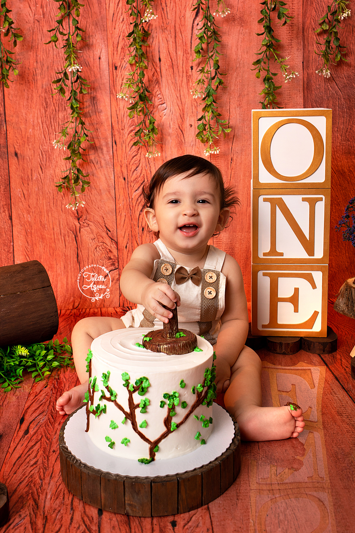 smash the cake guarujá familia fotografia ensaio acompanhamento ensaiosmashthecake bolo primeiro aniversario 1 ano kids photos
