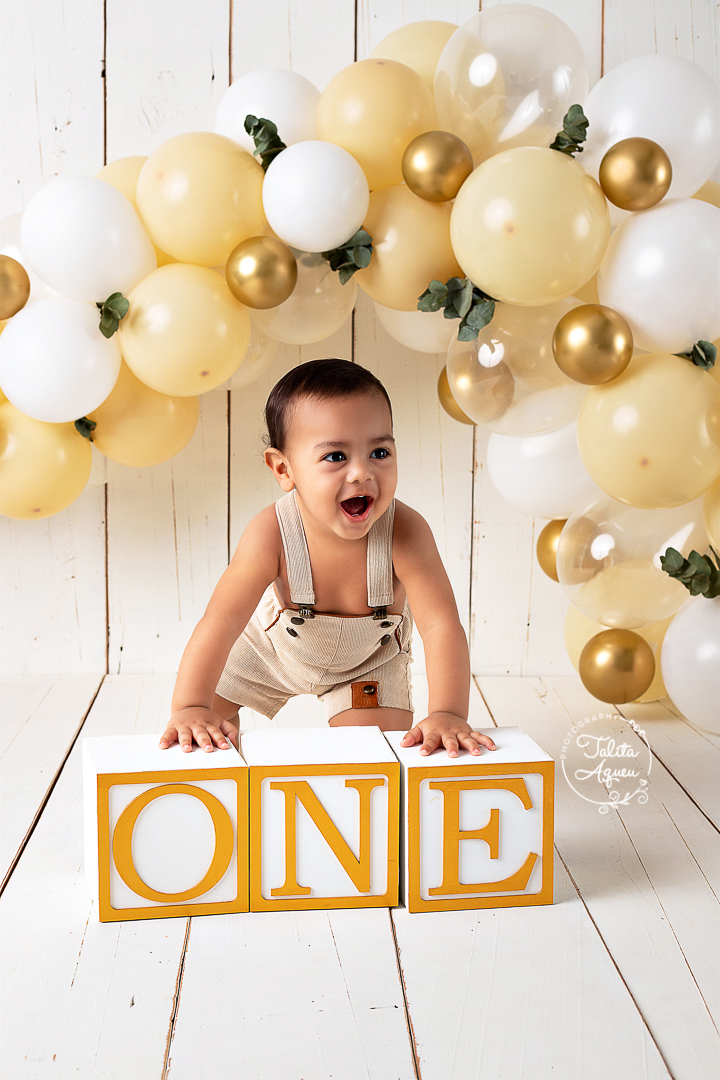smash the cake guarujá familia fotografia ensaio acompanhamento ensaiosmashthecake bolo primeiro aniversario 1 ano kids photos